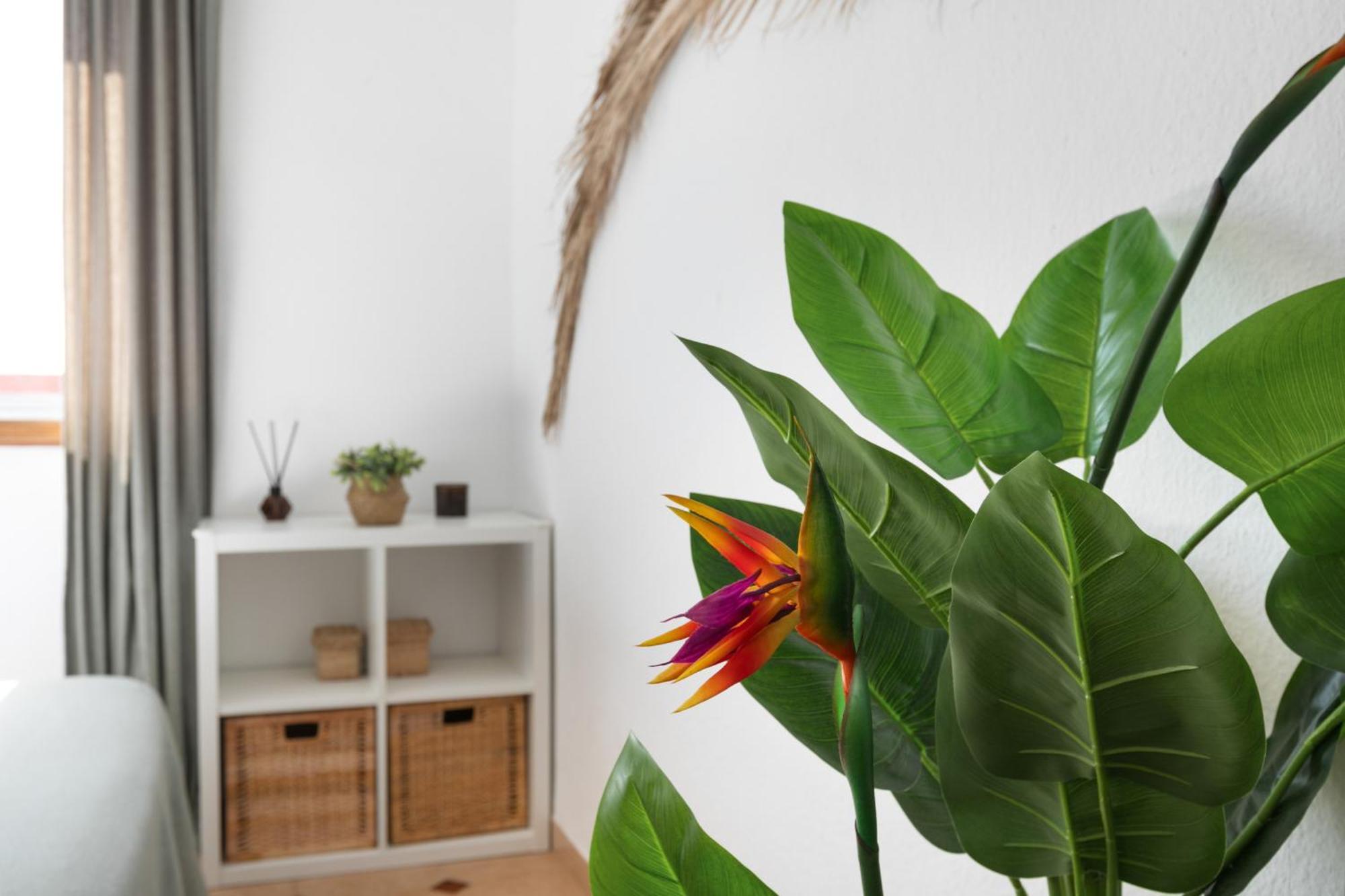 Casa Camacho Apartment La Cuesta  Екстериор снимка